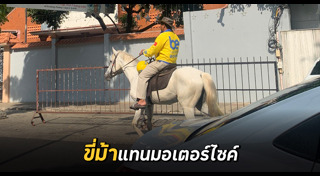 เรื่องแปลกเวียดนาม