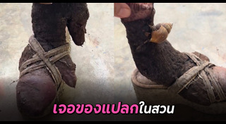 เรื่องขนหัวลุก