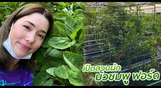 บัวชมพู ฟอร์ด