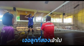 วอลเลย์บอล