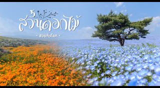 เส้นทางดอกไม้