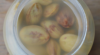 หมักดอง