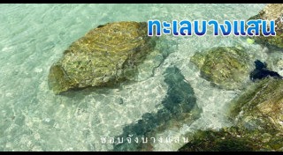 ทะเลสวยๆ