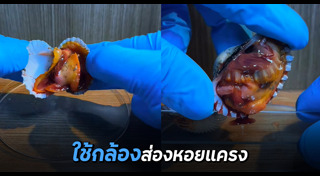 อาหารทะเล