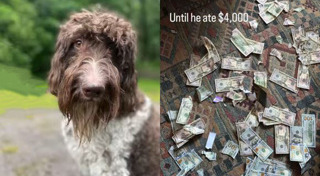 ธนบัตรชำรุด