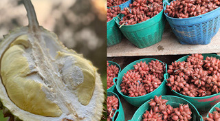 ที่เที่ยวตราด