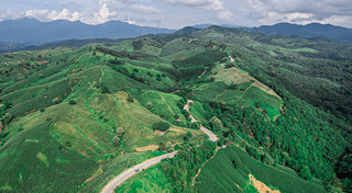 ที่เที่ยวแพร่