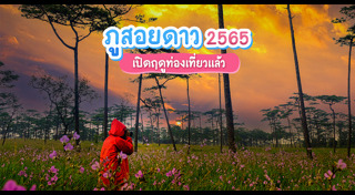 ภูสอยดาว