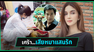 ปอ ทฤษฎี