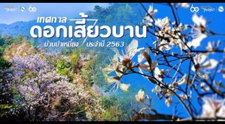 เที่ยวลำปาง