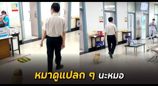 ลูกโป่ง