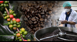 โครงการหลวง