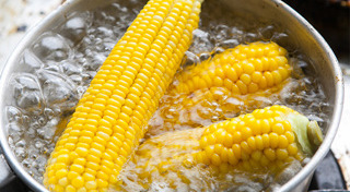 ข้าวโพด