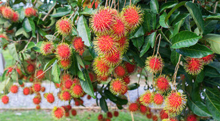 เที่ยวจันทบุรี