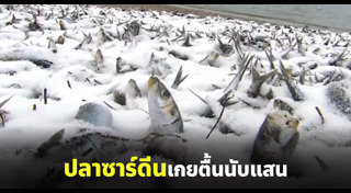 สัตว์น้ำ