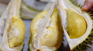 Tips ท่องเที่ยว