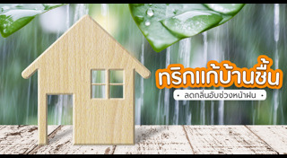 วิธีดูแลบ้าน