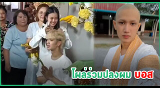 ลำไย ไหทองคำ