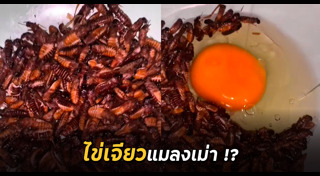 อาหารแปลก ๆ