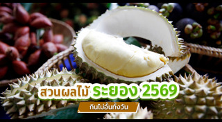 ท่องเที่ยวไทย