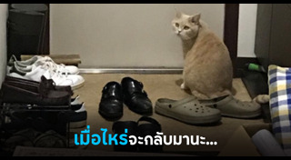 ภาพซึ้งๆ