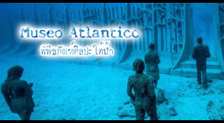 มหาสมุทร