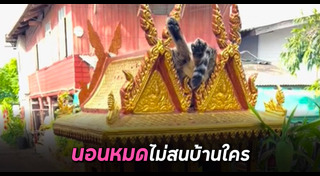 ศาลพระภูมิ