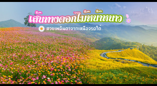 เส้นทางดอกไม้