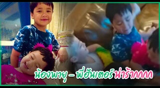 น้องฮาร์เปอร์ น้องฮันเตอร์