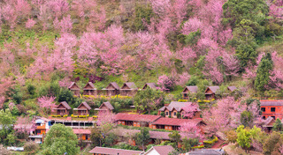 ที่เที่ยวเดือนธันวาคม