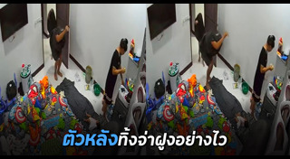 นกกระจอกเทศ