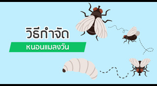 ทำความสะอาดบ้าน