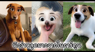 การ์ตูนดิสนีย์