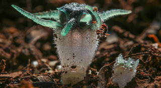 ที่เที่ยวตาก