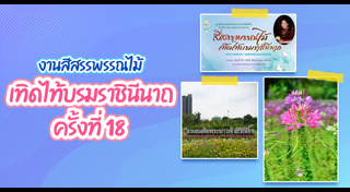 เที่ยวกรุงเทพ