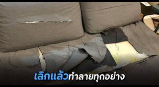 ทะเลาะกับแฟน