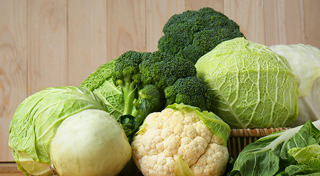 กะหล่ำปลี