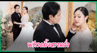 พรีเวดดิ้งดารา