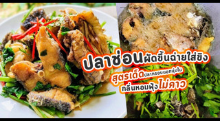 ผัดขึ้นฉ่าย