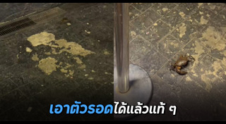 อาหารทะเล