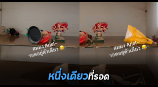 ของสะสม