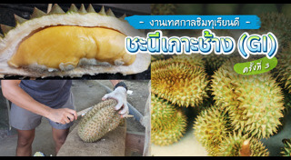 เกาะช้าง