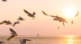 ที่เที่ยวใกล้กรุงเทพฯ