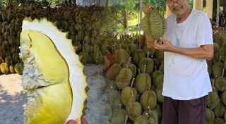 น็อต วรฤทธิ์