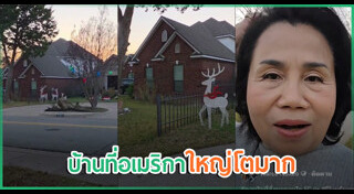 ชมพู่ อารยา