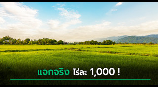 เงินช่วยเหลือ