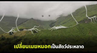 ภาพแนวอาร์ตๆ