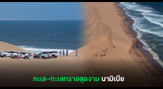 ทะเลทราย