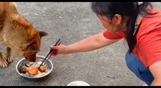 น่องไก่