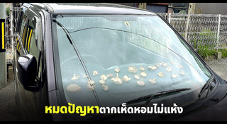 เห็ดหอม